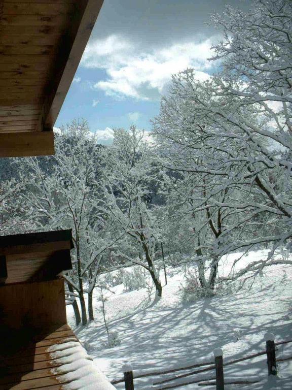 Hotel Rural Las Rozuelas Серседілья Номер фото